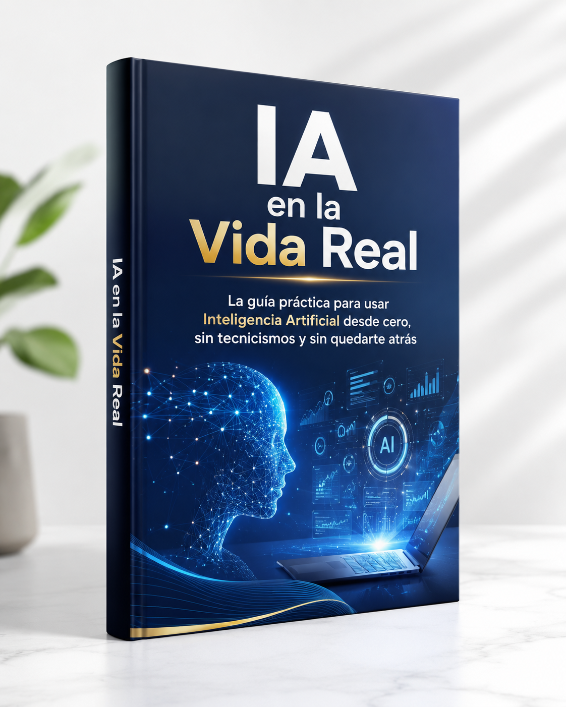 IA en la Vida Real